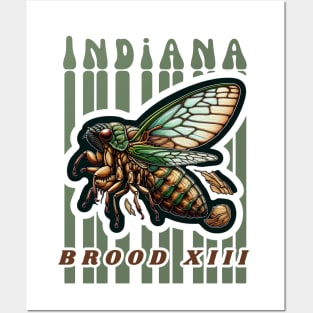 Cicadas "Indiana" Posters and Art